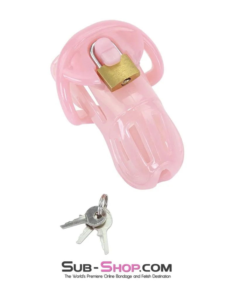 1533AR      Prison Bitch Pink Jailhouse Cock Locking Male Chastity Cage - MEGA Deal