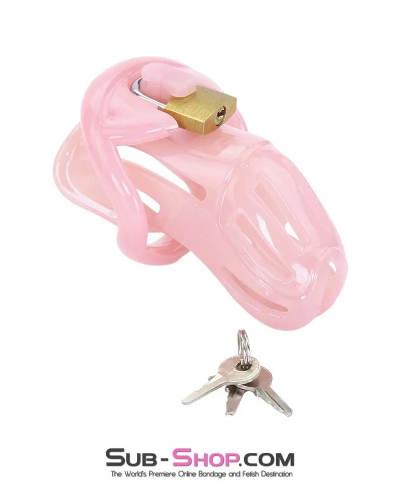 1533AR      Prison Bitch Pink Jailhouse Cock Locking Male Chastity Cage - MEGA Deal