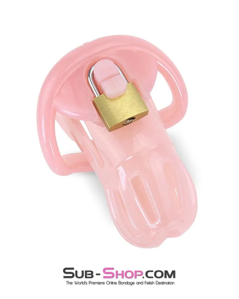 1533AR      Prison Bitch Pink Jailhouse Cock Locking Male Chastity Cage - MEGA Deal