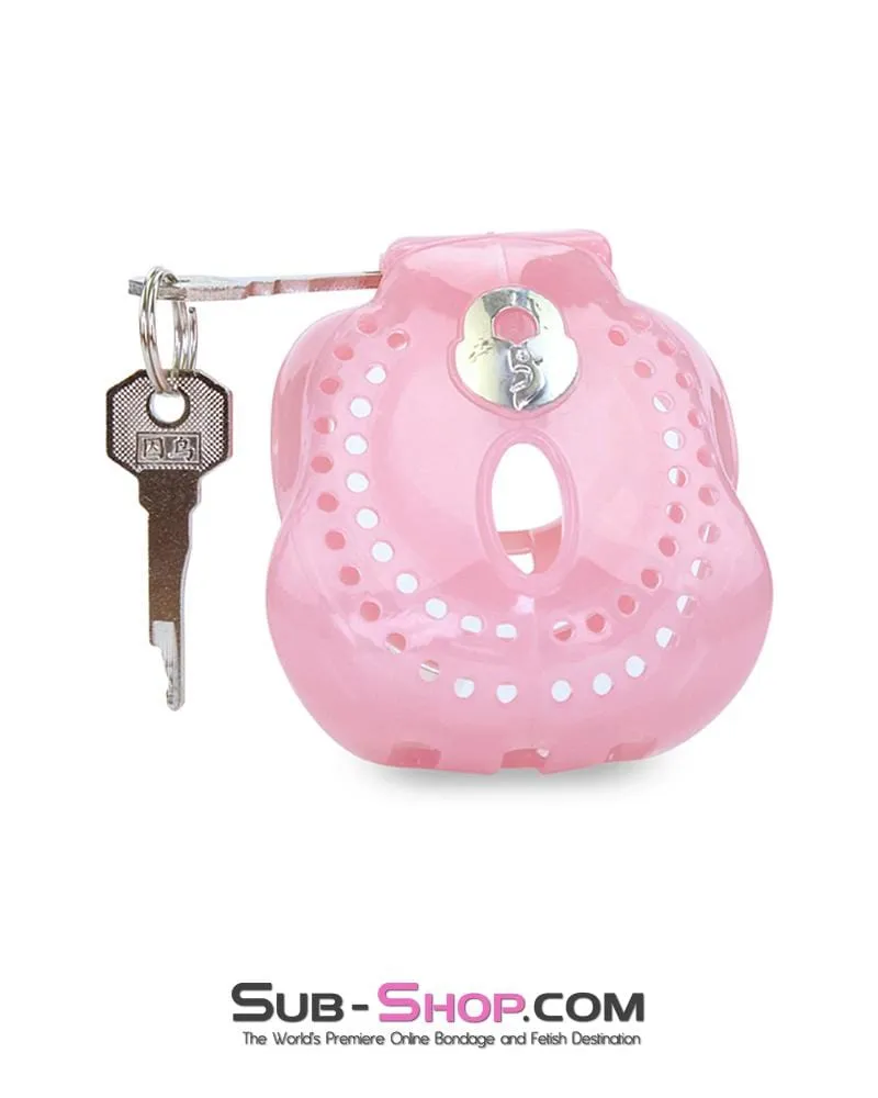 1587AR-SIS      Small Sissy Dungeon Cage Pink High Security Full Coverage Male Chastity Device