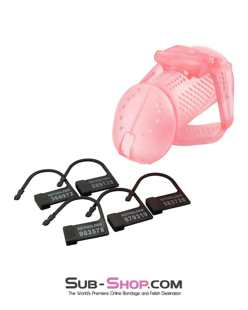 2463AR      Mistresses Sissy Slave Pink High Security Pin Tumbler Ventilated Male Chastity Device with Numbered Plastic Locks - MEGA Deal